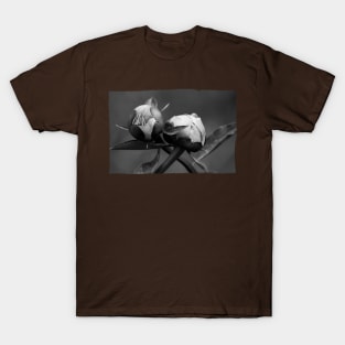 Unbloomed Flowers T-Shirt